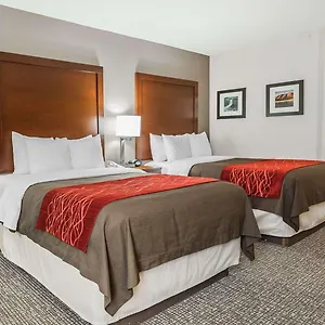 https://comfort-inn-denver-east.seedenverhotels.com